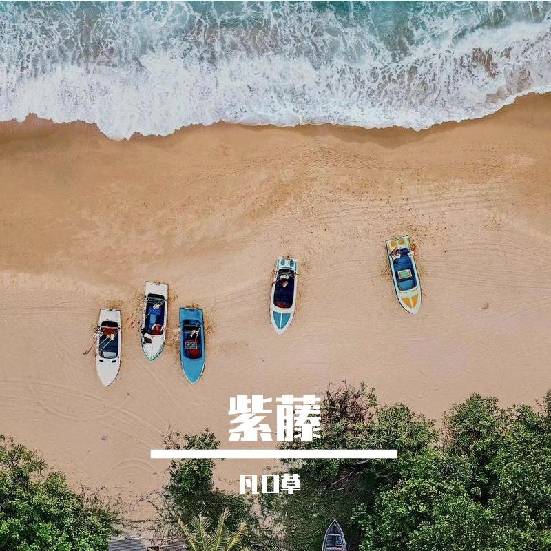 无字碑 伴奏封面
