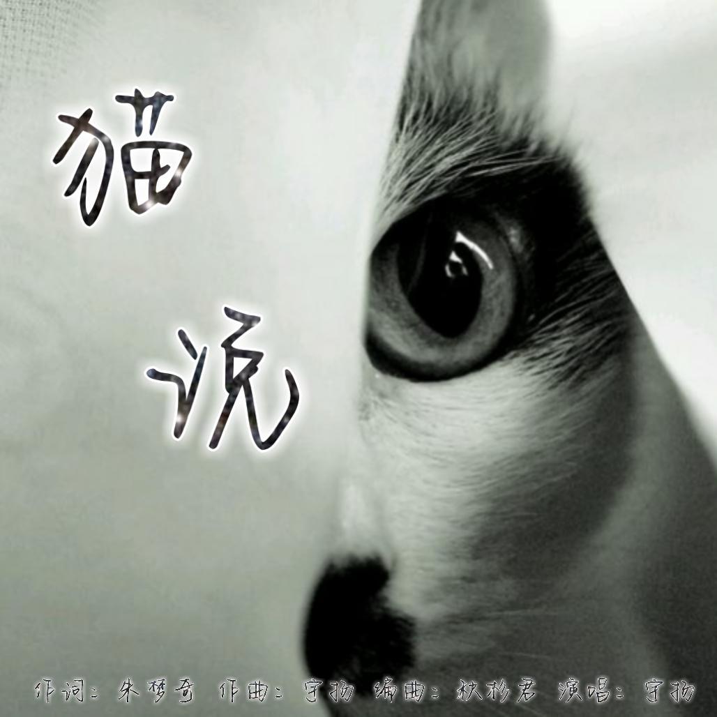 猫说封面