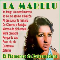 El Flamenco de Extremadura