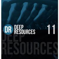 Deep Resources, Vol. 11