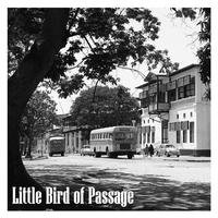 Little Bird of Passage