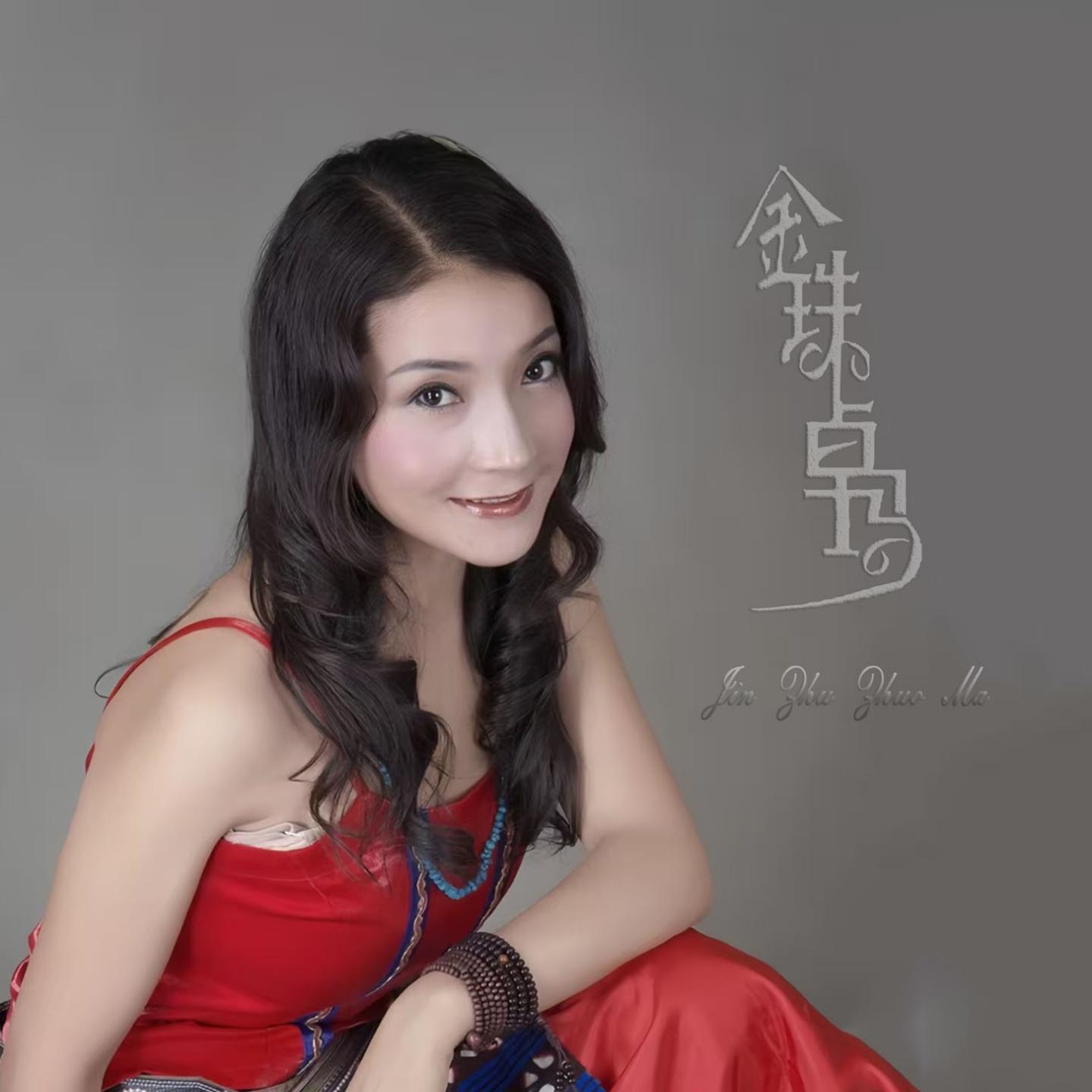 游子情 - 金珠卓玛封面