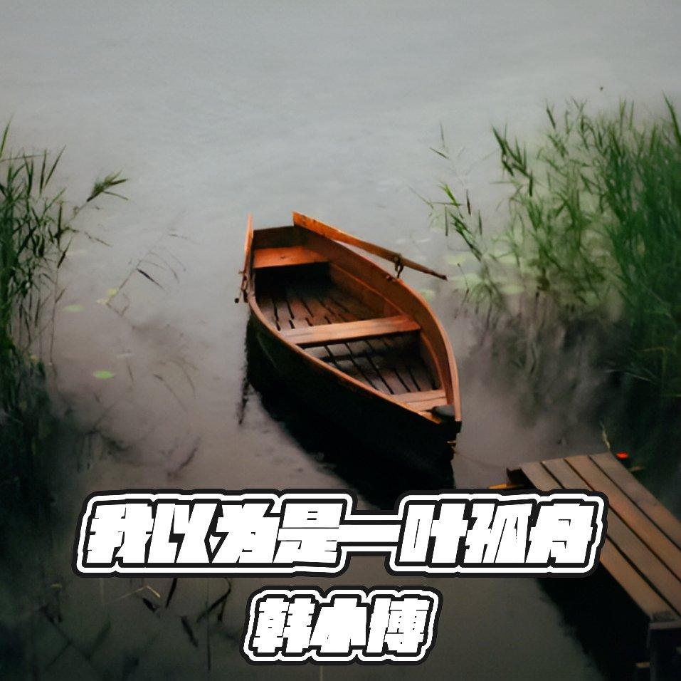 我以为是一叶孤舟封面
