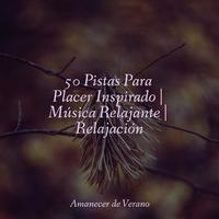 50 Pistas Para Placer Inspirado | Música Relajante | Relajación