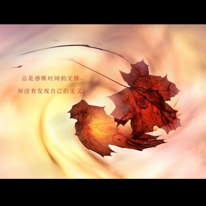 秋殇别恋（伴奏）封面