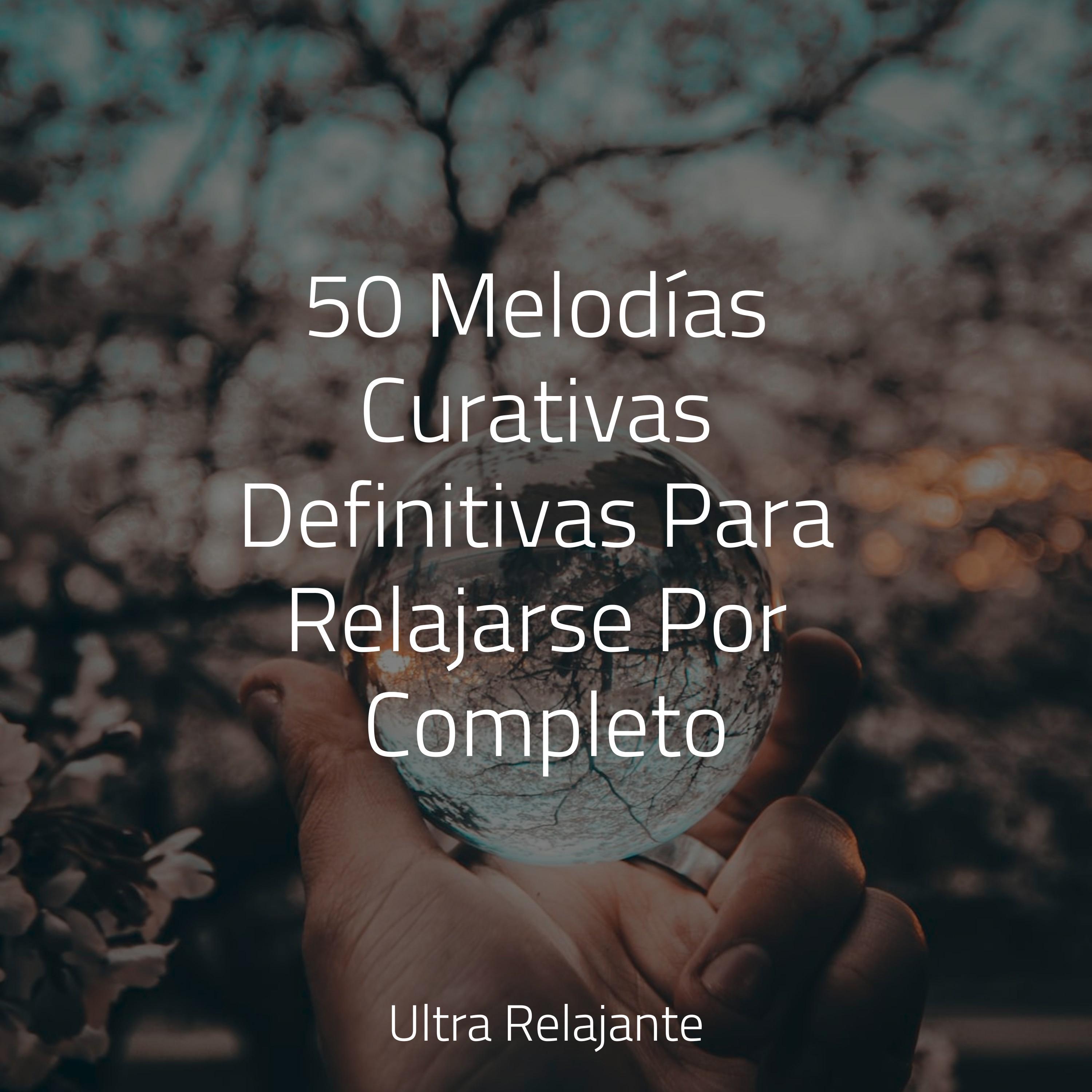 Solo Vuela Lejos Canciones Infantiles De Ni os Massagem Guru 