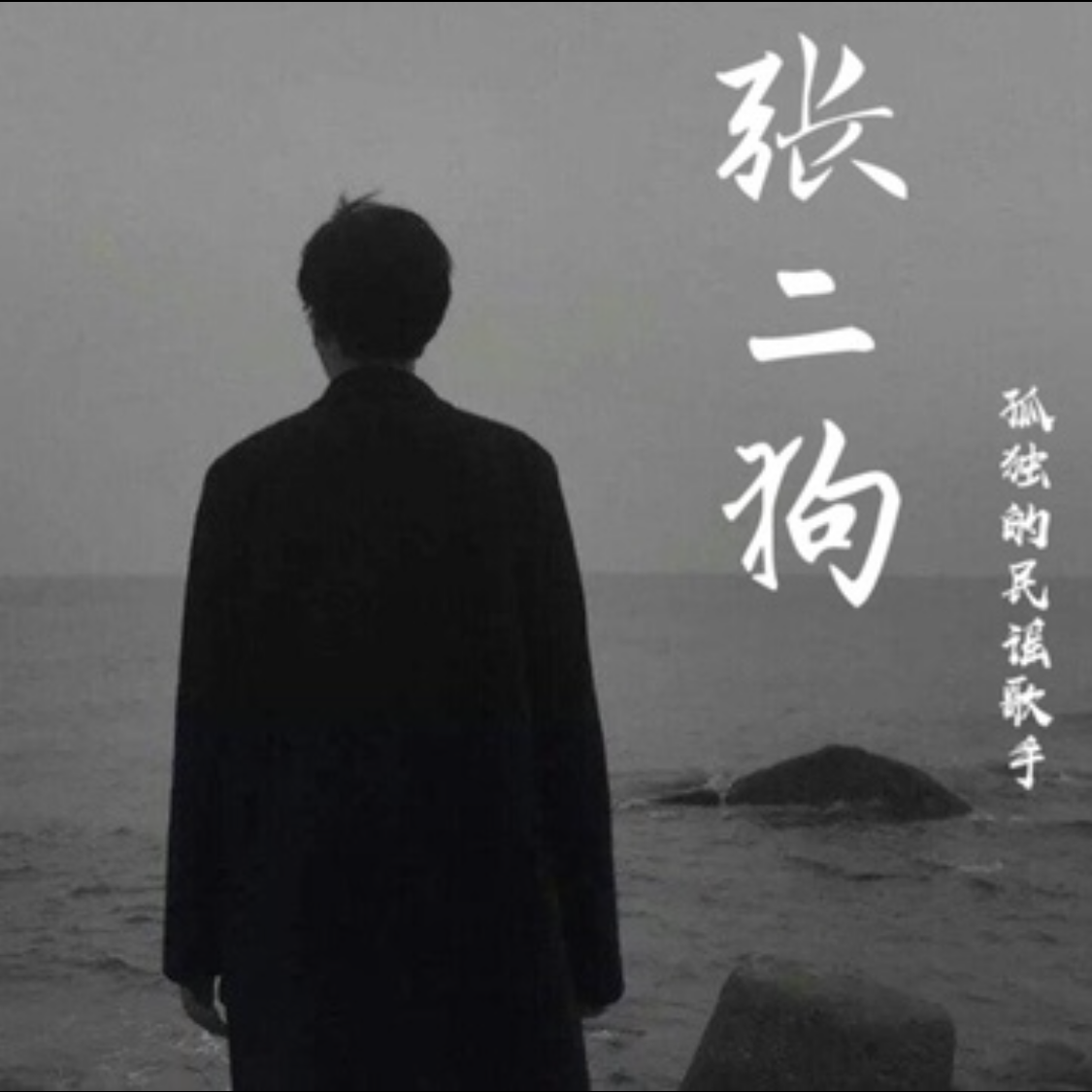 走马(吉他版)封面