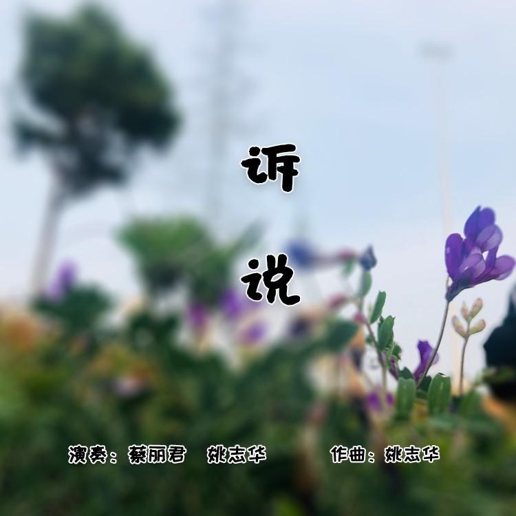 莲的心事封面