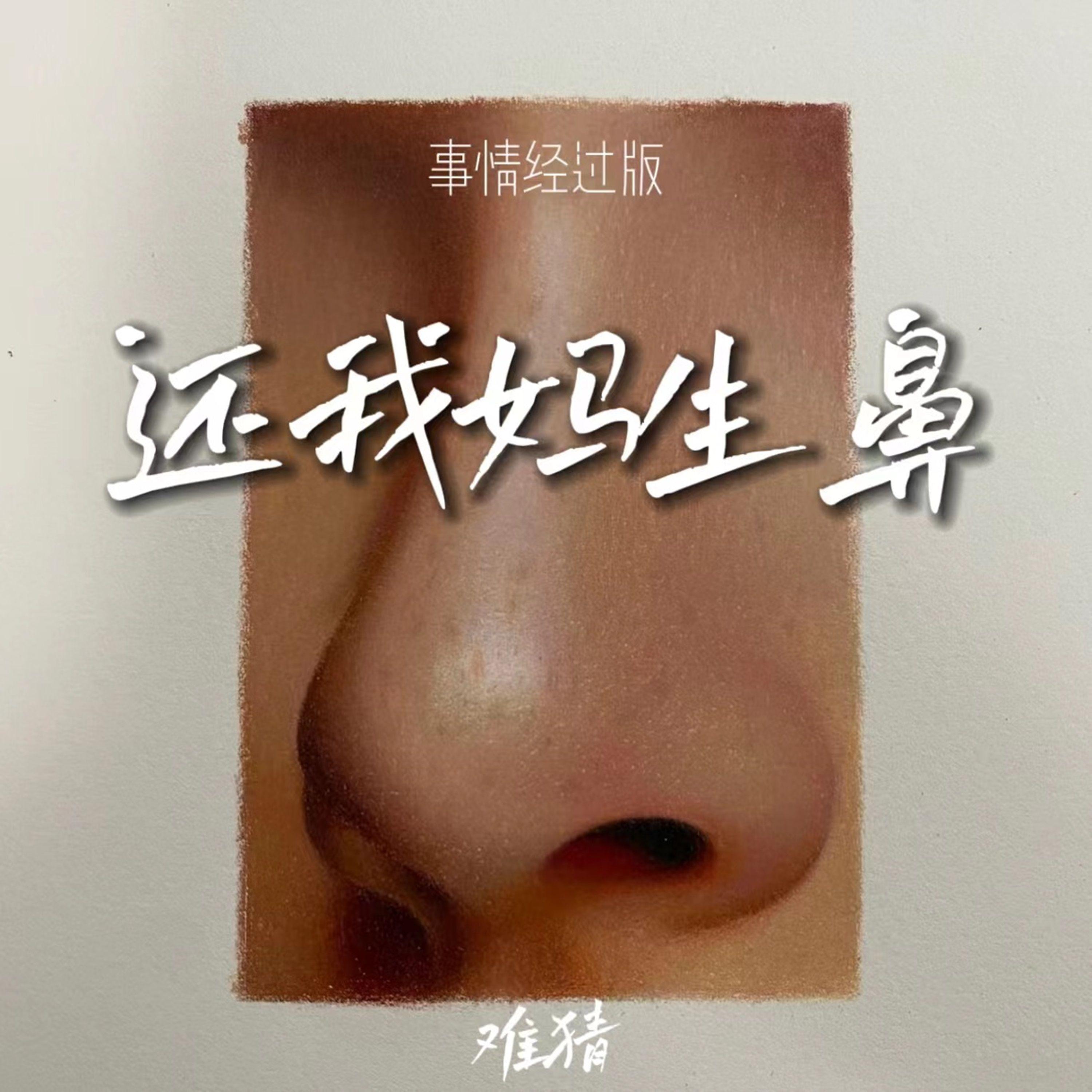 还我妈生鼻(事情经过版)封面