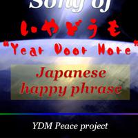 YDM Peace project