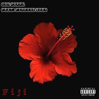 Fiji (feat. Finesse Baby)