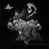 Testaseo