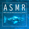 贵族音乐ASMR - 听海