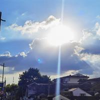 许还休