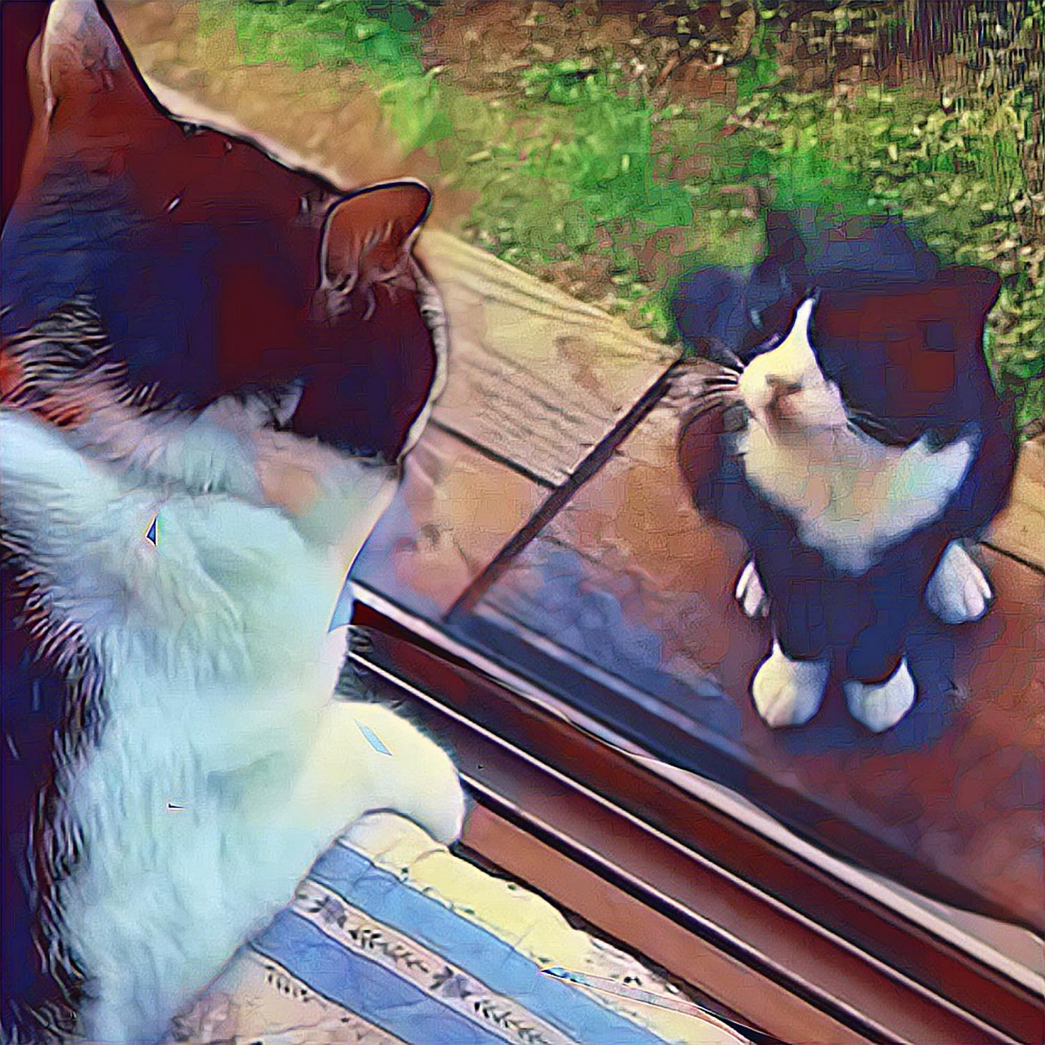 Meow Number 8 (The Cat in the Window)