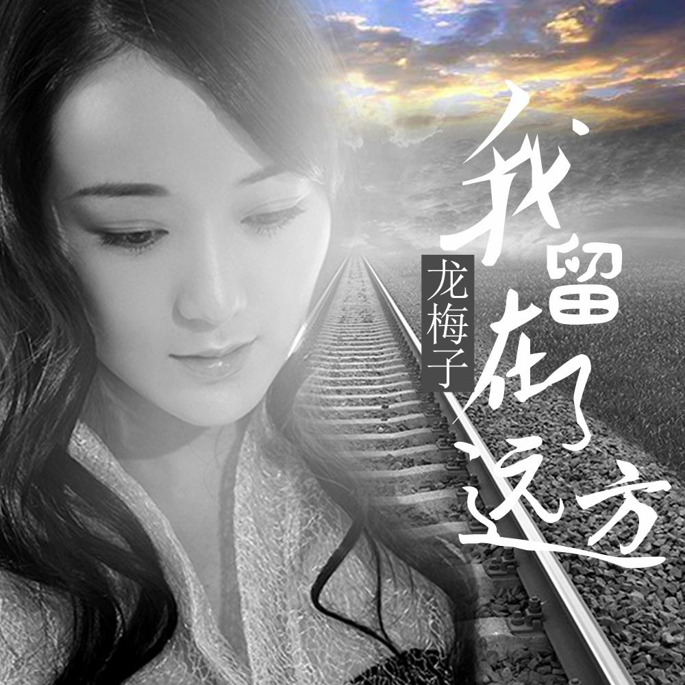 龙梅子 ·《我留在了远方》