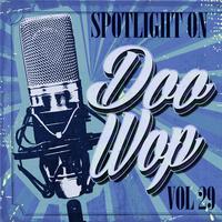 Spotlight on Doo Wop, Vol. 29