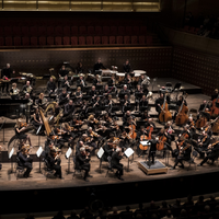 Antwerp Symphony Orchestra