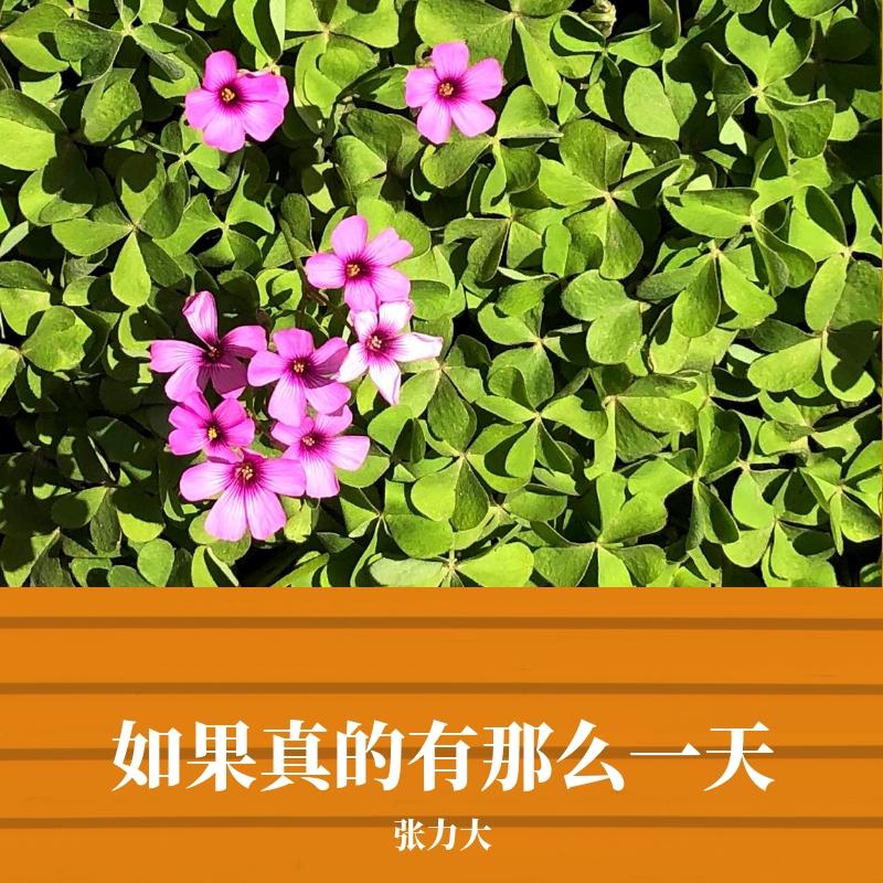 如果真的有那么一天