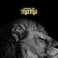 Hammad 361