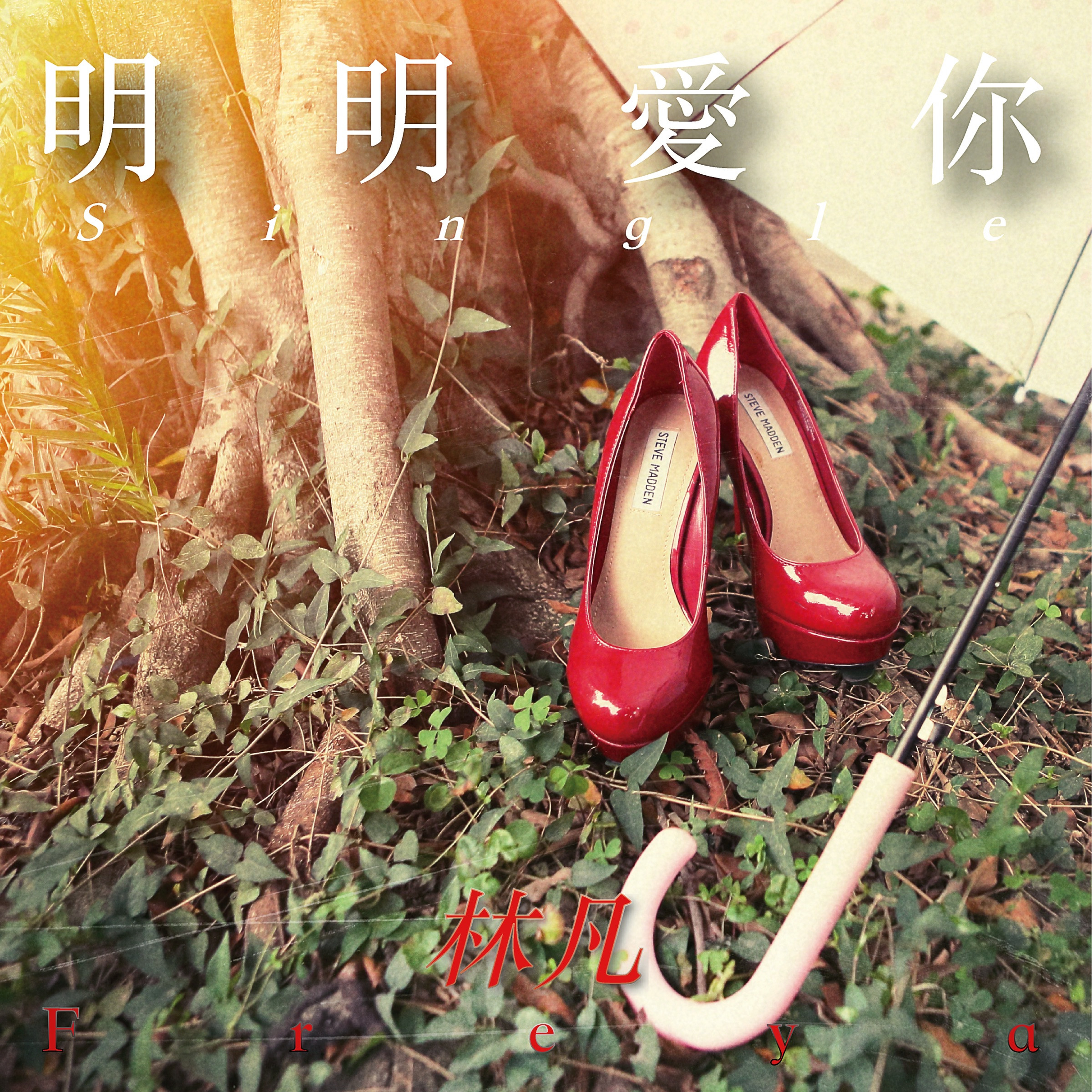 明明爱你_林凡_明明爱你 | 在线播放_明明爱你歌词_明明爱你下载 | 网易云音乐