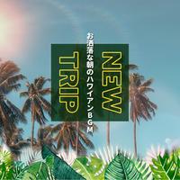 New Trip - Surfing in the Sun