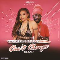 Can't Change Remix