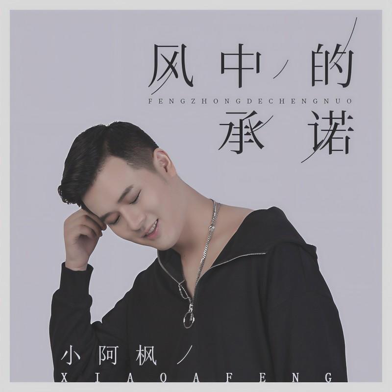 风中的承诺封面