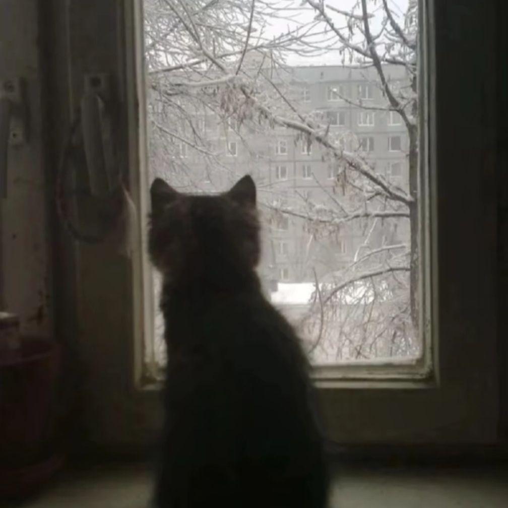 一起长大的约定