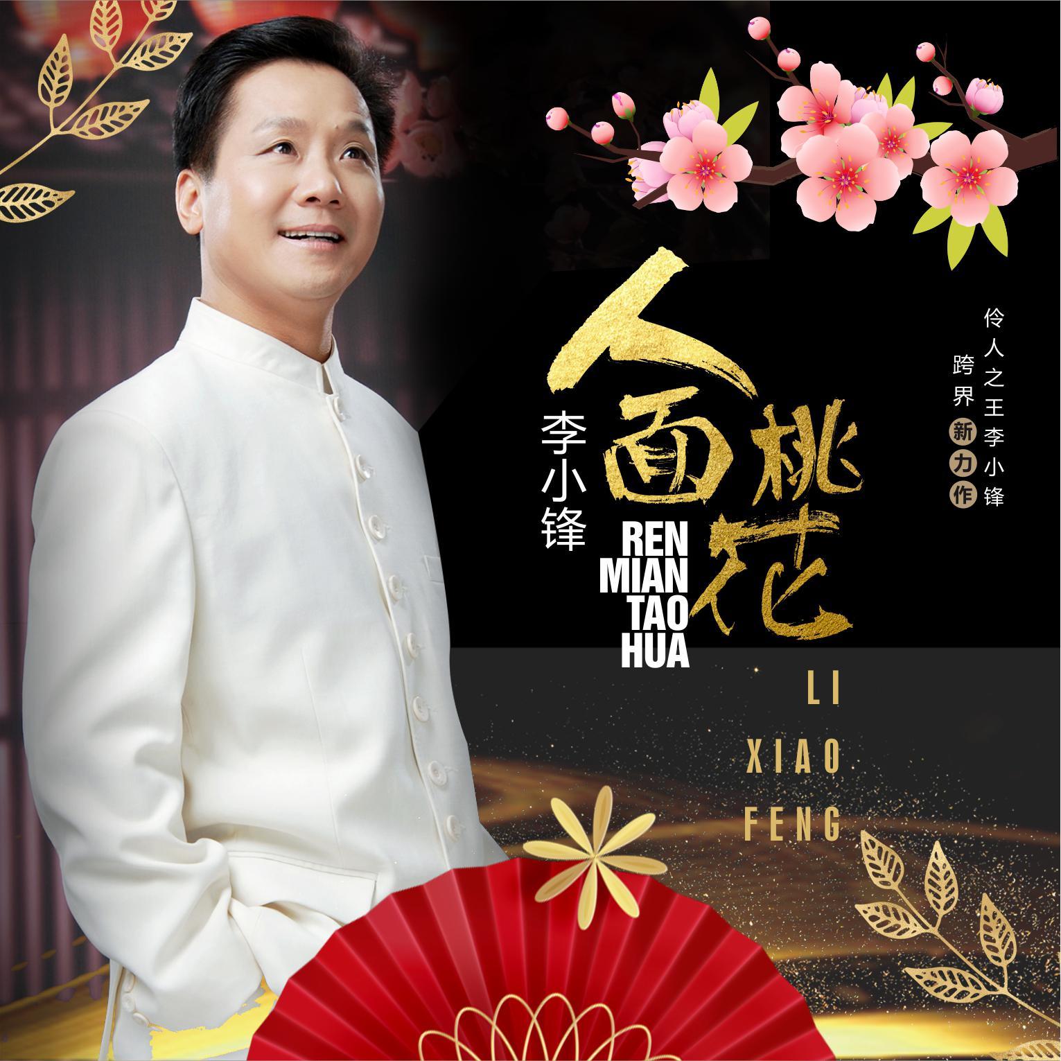 人面桃花封面