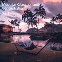 Music for Relaxation and Concentration Ses. 1