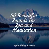 50 Beautiful Sounds for Spa and Meditation