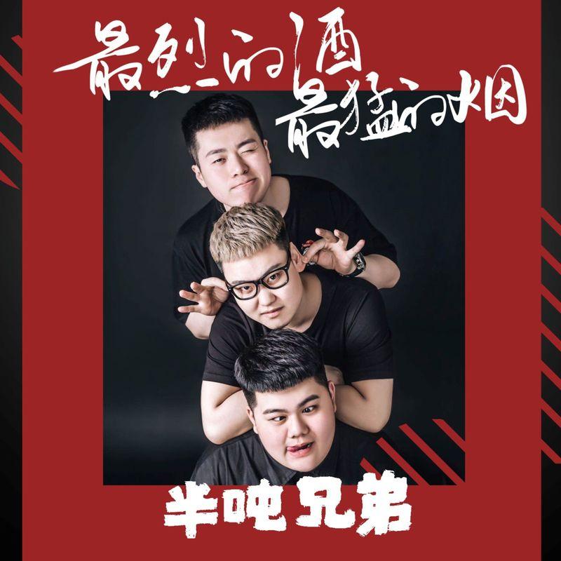 最烈的酒最猛的烟 (0.8降速版)封面