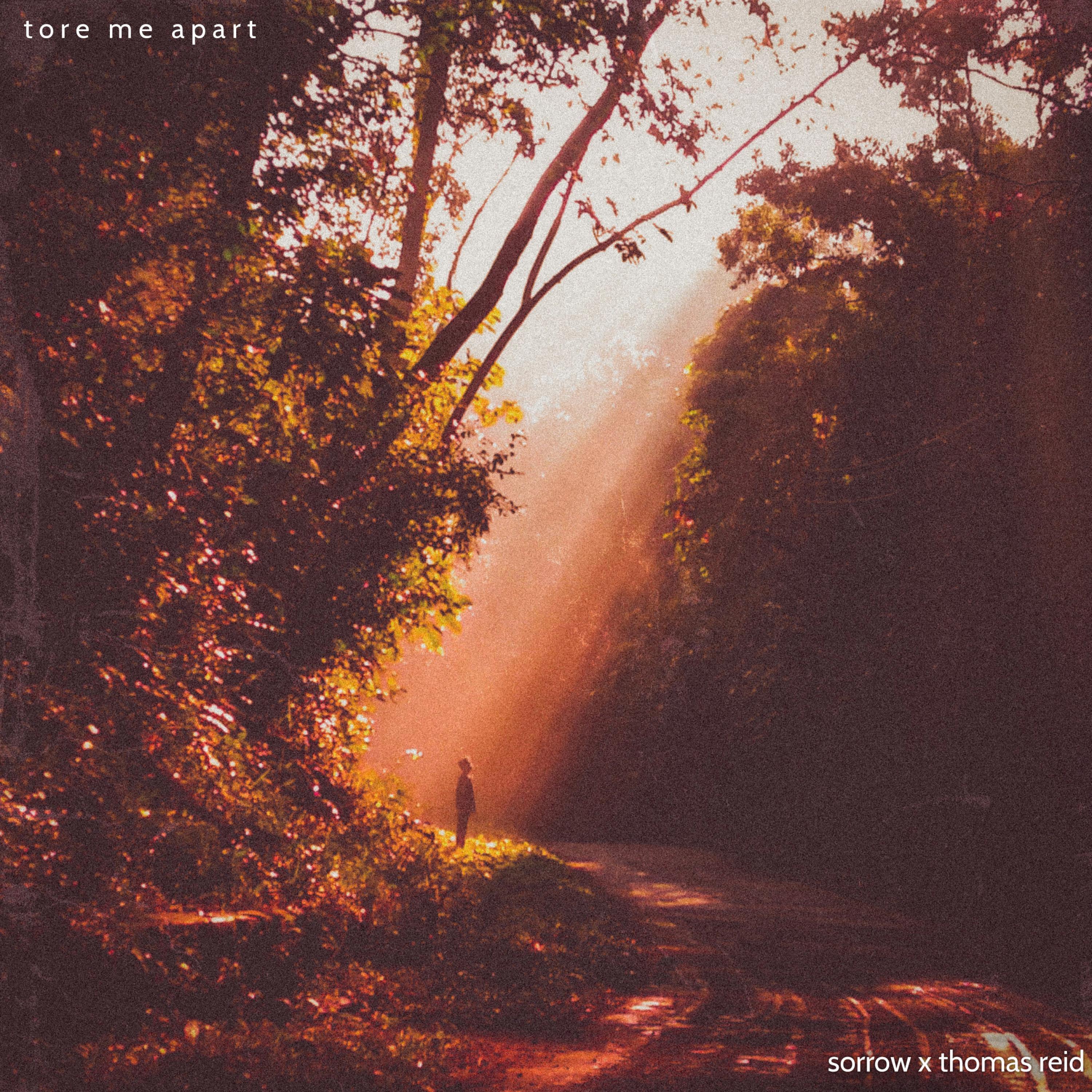 tore me apart