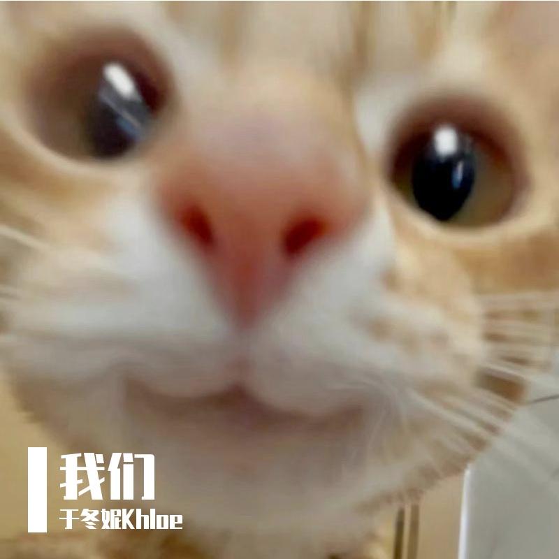 失语者（cover 蔡健雅）封面