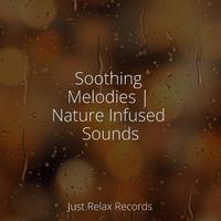 Soothing Melodies | Nature Infused Sounds