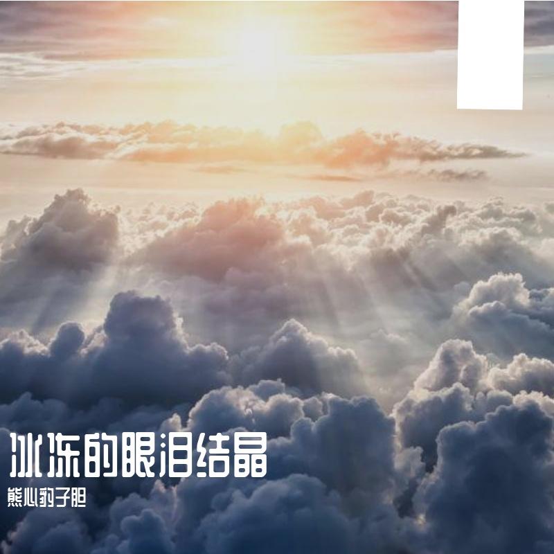 静止的衬衫 - 熊心豹子胆封面