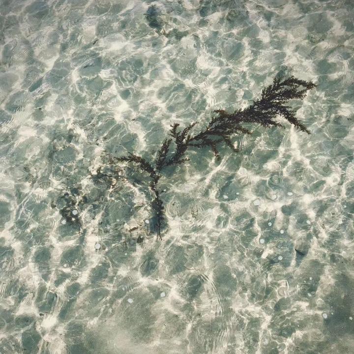 大海的孩子封面