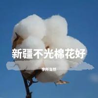 新疆不光棉花好