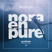 Gratitude (Extended Mixes)