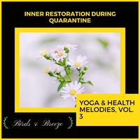 Inner Restoration During Quarantine - Yoga & Health Melodies, Vol. 3