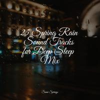 25 Spring Rain Sound Tracks for Deep Sleep Mix