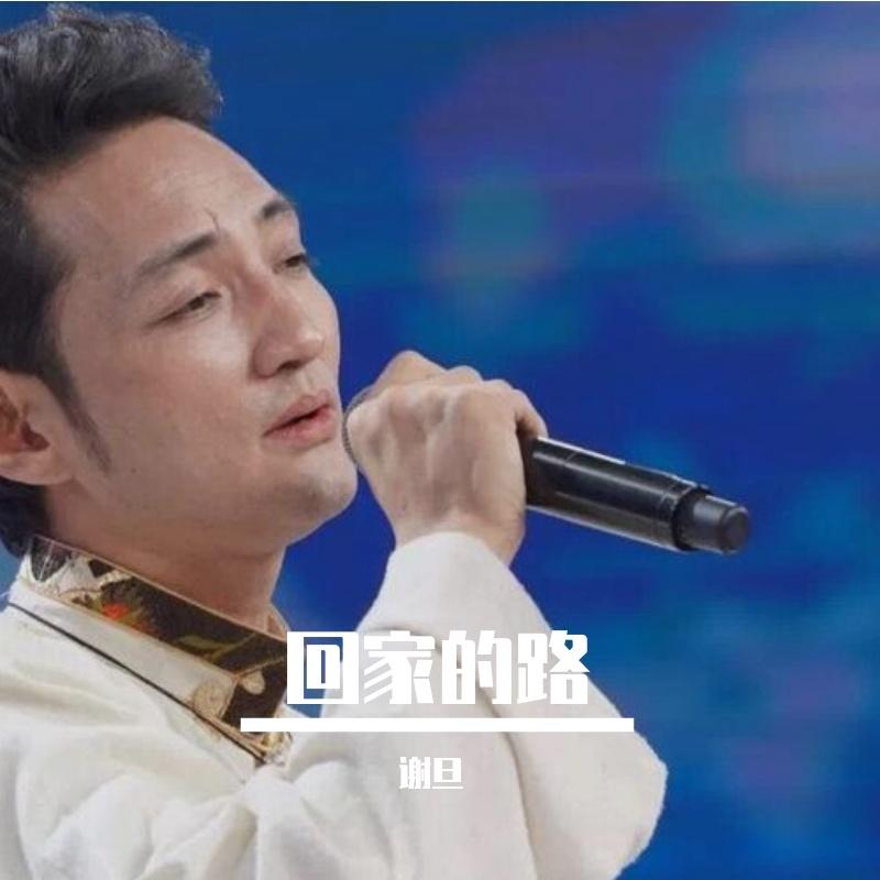 回家的路封面