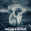 hardtrax - Asche & Staub (feat. Dunkelkammer)