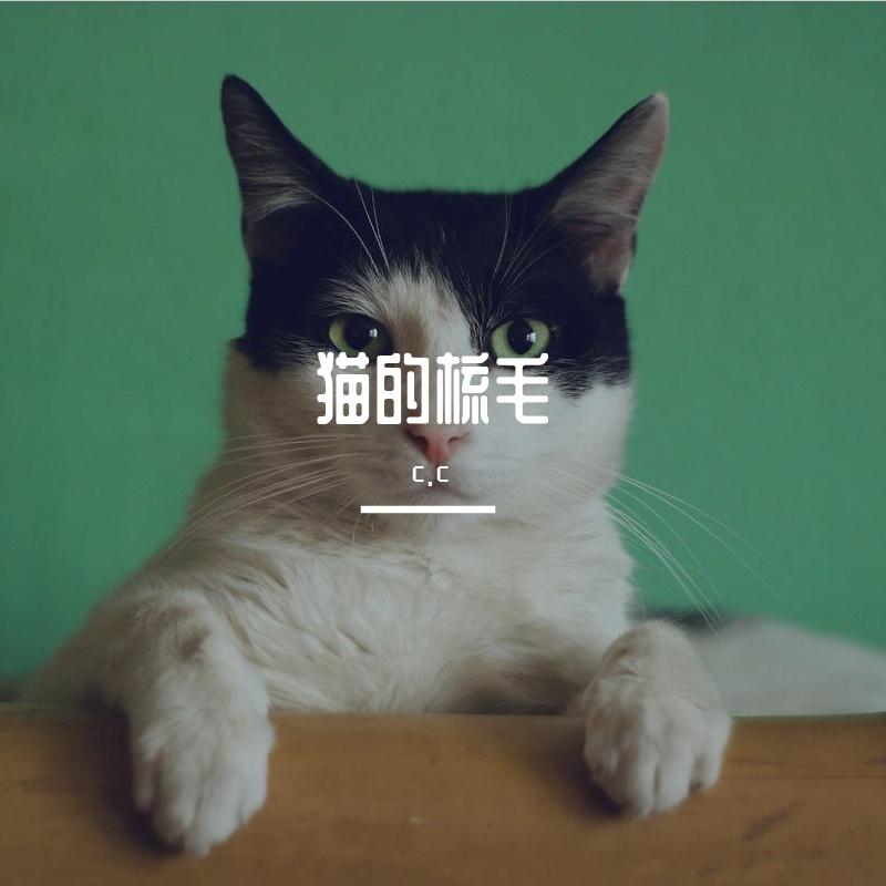 漫步在乡间田野，堆积如山的纸箱作为我们的堡垒，盛开的女孩的笑声，在阳光下熠熠生辉。