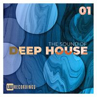 The Sound Of Deep House, Vol. 01