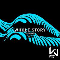 Whole Story Of Techno Vol. 6