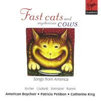 Fast Cats & Mysterious Cows-Songs From America