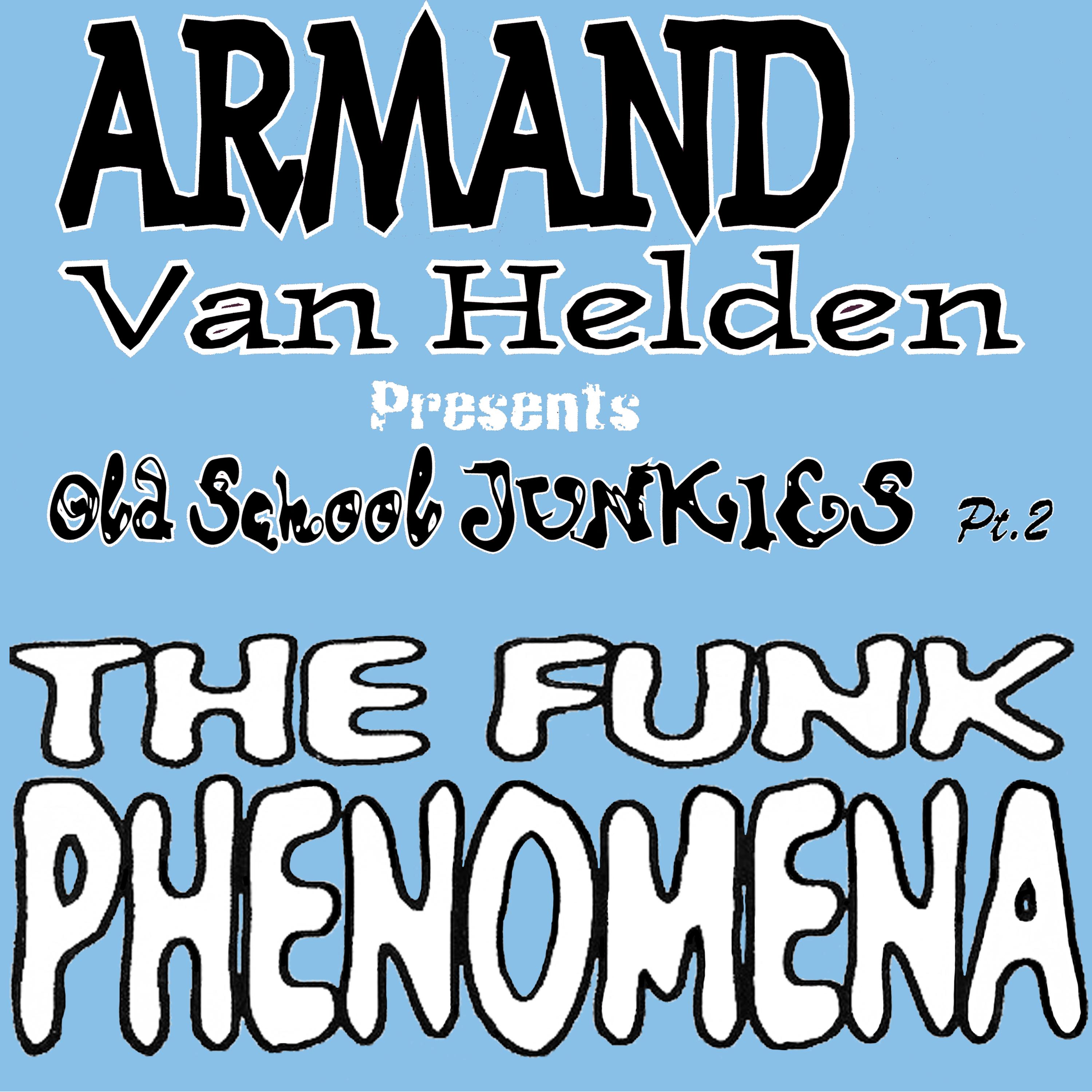 The Funk Phenomena (Starkillers Mix)