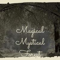 Magical Mystical Forest